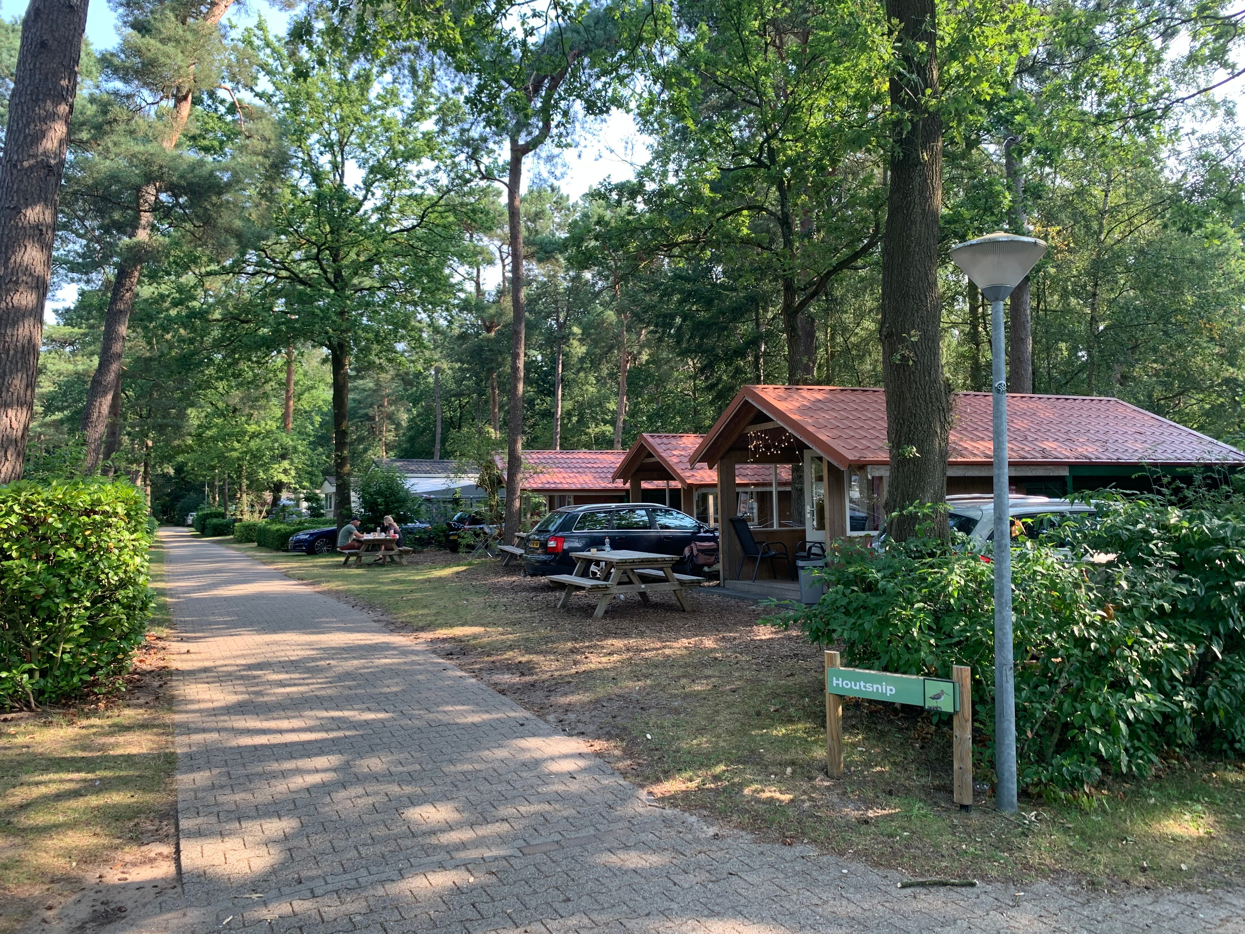 Traditionele campingsfeer met chalets tussen de bomen bij Camping De Kleine Wolf